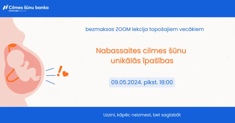 Lekcija “Nabassaites cilmes šūnu unikālās īpašības”