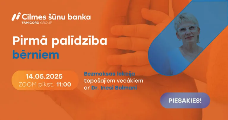 Bezmaksas on-line lekcija